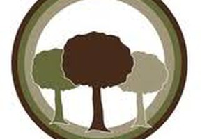 Praktikant (m/w/d) im Bereich Psychologie und Soziale Arbeit