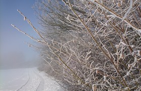 Alumninewsletter Winter 22/23